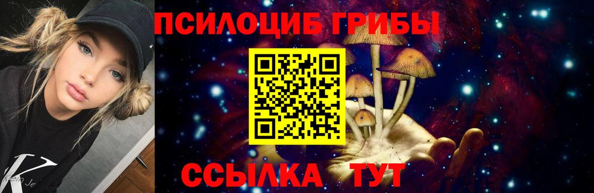 Псилоцибиновые грибы прущие грибы Кушва